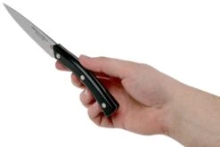 Due Cigni Arne Line Couteau D'office 10 Cm, Noir -Couteaux Soldes Boutique DG2C901 06 due cigni arne