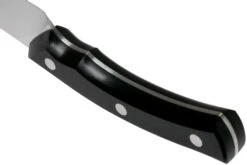 Due Cigni Arne Line Couteau Universel 15 Cm, Noir 9 Due Cigni Arne Line Couteau Universel 15 Cm, Noir -Couteaux Soldes Boutique DG2C902 04 due cigni arne