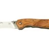 Fox Knives Spora Mushroom Satin Olive FX-409OL, Couteau à Champignon