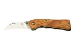 Fox Knives Spora Mushroom Satin Olive FX-409OL, Couteau à Champignon