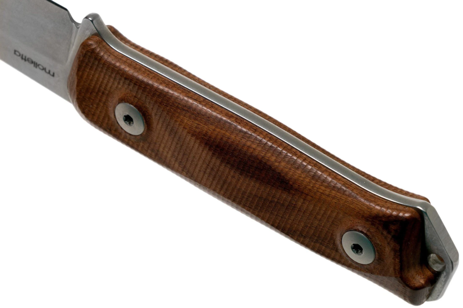 LionSteel B41 Santos B41-ST Couteau De Bushcraft 4 LionSteel B41 Santos B41-ST Couteau De Bushcraft – Image 4