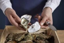 Couteau à Huîtres Opinel N°09 13 Couteau à Huîtres Opinel N°09 -Couteaux Soldes Boutique OP001616 07 opinel oestermes op001616 08