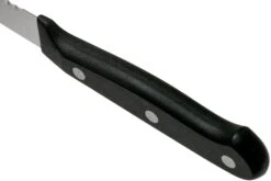 Wüsthof Gourmet Couteau à Tomates 12 Cm, 1025048012 12 Wüsthof Gourmet Couteau à Tomates 12 Cm, 1025048012 -Couteaux Soldes Boutique WU1025048012 04 wusthof v202101